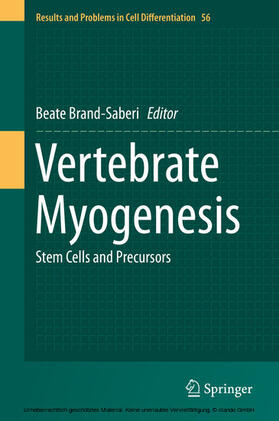 Brand-Saberi | Vertebrate Myogenesis | E-Book | sack.de