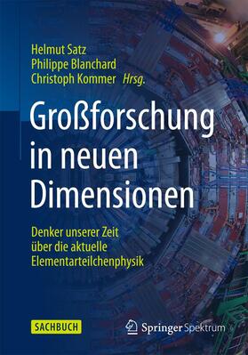 Satz / Blanchard / Kommer |  Großforschung in neuen Dimensionen | Buch |  Sack Fachmedien