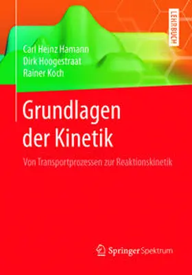 Hamann / Hoogestraat / Koch |  Grundlagen der Kinetik | eBook | Sack Fachmedien