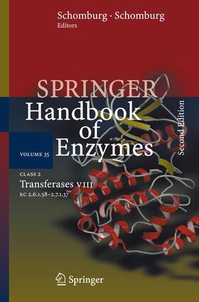 Schomburg |  Class 2 Transferases VIII | Buch |  Sack Fachmedien