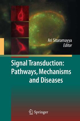 Sitaramayya |  Signal Transduction: Pathways, Mechanisms and Diseases | Buch |  Sack Fachmedien