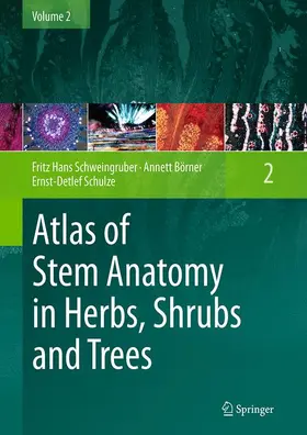 Schweingruber / Schulze / Börner |  Atlas of Stem Anatomy in Herbs, Shrubs and Trees | Buch |  Sack Fachmedien