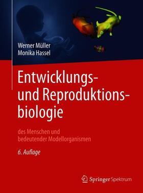 Müller / Hassel |  Entwicklungsbiologie und Reproduktionsbiologie des Menschen und bedeutender Modellorganismen | Buch |  Sack Fachmedien