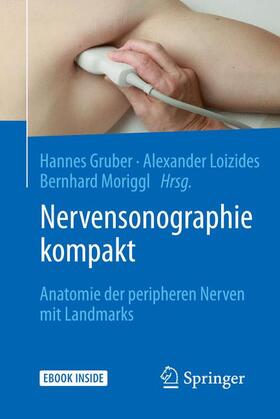 Gruber / Loizides / Moriggl |  Nervensonographie kompakt | Buch |  Sack Fachmedien