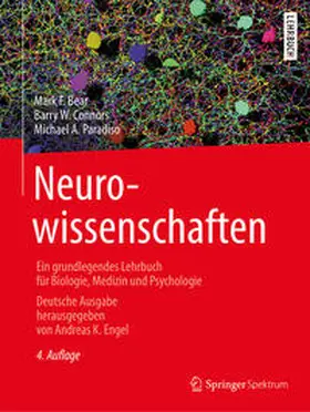 Bear / Engel / Connors | Neurowissenschaften | E-Book | sack.de