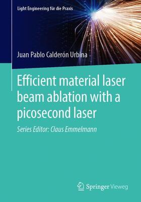 Calderón Urbina |  Efficient material laser beam ablation with a picosecond laser | Buch |  Sack Fachmedien