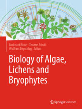 Büdel / Friedl / Beyschlag |  Biology of Algae, Lichens and Bryophytes | eBook | Sack Fachmedien