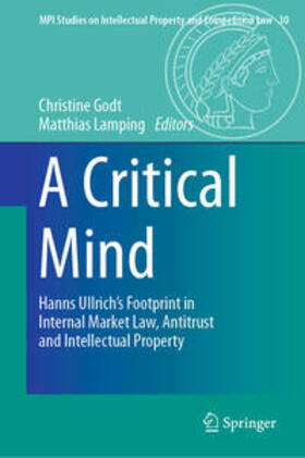 Godt / Lamping |  A Critical Mind | eBook | Sack Fachmedien