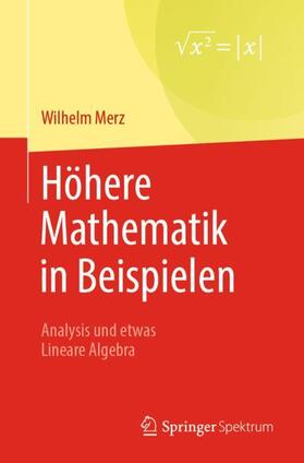 Merz |  Höhere Mathematik in Beispielen | Buch |  Sack Fachmedien