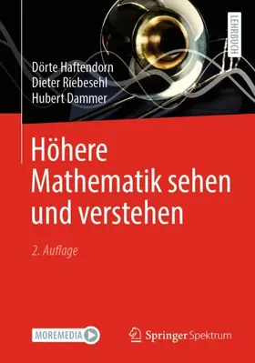 Haftendorn / Dammer / Riebesehl |  Höhere Mathematik sehen und verstehen | Buch |  Sack Fachmedien