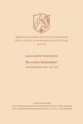 Schwiete |  Schwiete, H: Ein zweites Steinzeitalter? | Buch |  Sack Fachmedien