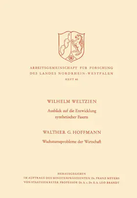 Weltzien |  Ausblick auf die Entwicklung synthetischer Fasern. Wachstumsprobleme der Wirtschaft | Buch |  Sack Fachmedien