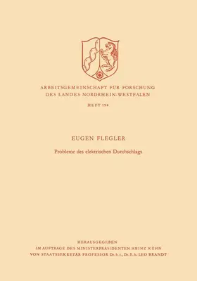 Flegler |  Probleme des elektrischen Durchschlags | Buch |  Sack Fachmedien