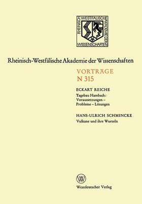Reiche |  Reiche, E: Tagebau Hambach: Voraussetzungen ¿ Probleme ¿ Lös | Buch |  Sack Fachmedien