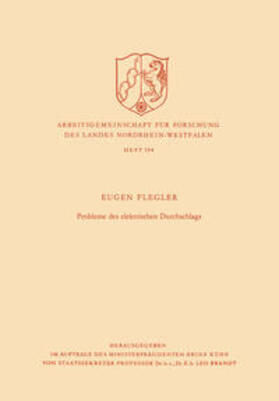 Flegler |  Probleme des elektrischen Durchschlags | eBook | Sack Fachmedien