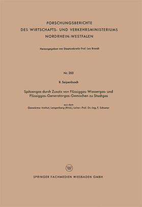 Seipenbusch |  Spitzengas durch Zusatz von Flüssiggas- Wassergas- und Flüssiggas-Generatorgas-Gemischen zu Stadtgas | Buch |  Sack Fachmedien