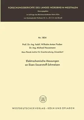 Fischer |  Elektrochemische Messungen an Eisen-Sauerstoff-Schmelzen | Buch |  Sack Fachmedien