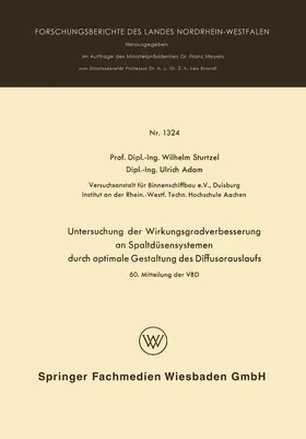 Sturtzel |  Untersuchung der Wirkungsgradverbesserung an Spaltdüsensystemen durch optimale Gestaltung des Diffusorauslaufs | Buch |  Sack Fachmedien