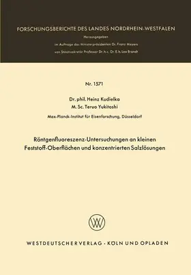 Kudielka |  Röntgenfluoreszenz-Untersuchungen an kleinen Feststoff-Oberflächen und konzentrierten Salzlösungen | Buch |  Sack Fachmedien