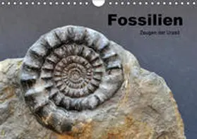 Wagner |  Fossilien - Zeugen der Urzeit (Wandkalender 2019 DIN A4 quer) | Sonstiges |  Sack Fachmedien