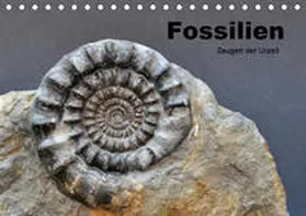 Wagner |  Fossilien - Zeugen der Urzeit (Tischkalender 2019 DIN A5 quer) | Sonstiges |  Sack Fachmedien