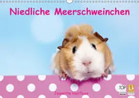 Hutfluss |  Niedliche Meerschweinchen (Wandkalender 2019 DIN A3 quer) | Sonstiges |  Sack Fachmedien