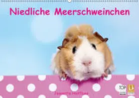 Hutfluss |  Niedliche Meerschweinchen (Wandkalender 2019 DIN A2 quer) | Sonstiges |  Sack Fachmedien