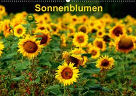 Schulz |  Sonnenblumen (Wandkalender 2019 DIN A2 quer) | Sonstiges |  Sack Fachmedien