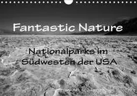 Müller |  Fantastic Nature - Nationalparks im Südwesten der USA (Wandkalender 2019 DIN A4 quer) | Sonstiges |  Sack Fachmedien