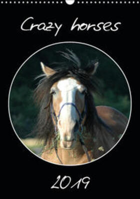 Lampert |  Crazy horses (Wandkalender 2019 DIN A3 hoch) | Sonstiges |  Sack Fachmedien