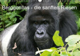 Herzog |  Berggorillas - die sanften Riesen (Wandkalender 2019 DIN A3 quer) | Sonstiges |  Sack Fachmedien