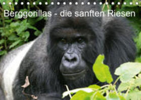 Herzog |  Berggorillas - die sanften Riesen (Tischkalender 2019 DIN A5 quer) | Sonstiges |  Sack Fachmedien