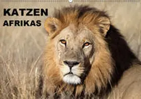 Herzog |  Katzen Afrikas (Wandkalender 2019 DIN A2 quer) | Sonstiges |  Sack Fachmedien