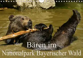 Müller |  Bären im Nationalpark Bayerischer Wald (Wandkalender 2019 DIN A4 quer) | Sonstiges |  Sack Fachmedien