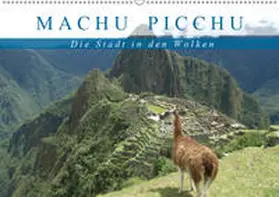 Hartmann |  Machu Picchu - Die Stadt in den Wolken (Wandkalender 2019 DIN A2 quer) | Sonstiges |  Sack Fachmedien