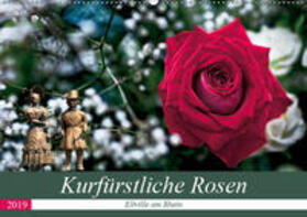 Meyer |  Kurfürstliche Rosen - Eltville am Rhein (Wandkalender 2019 DIN A2 quer) | Sonstiges |  Sack Fachmedien