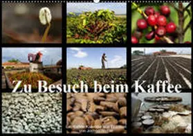 Weber | Zu Besuch beim Kaffee (Wandkalender 2019 DIN A2 quer) | Sonstiges | 978-3-669-81757-8 | sack.de