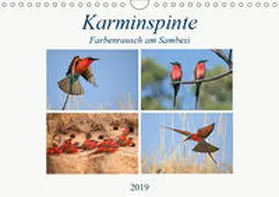 Herzog |  Karminspinte - Farbenrausch am Sambesi (Wandkalender 2019 DIN A4 quer) | Sonstiges |  Sack Fachmedien