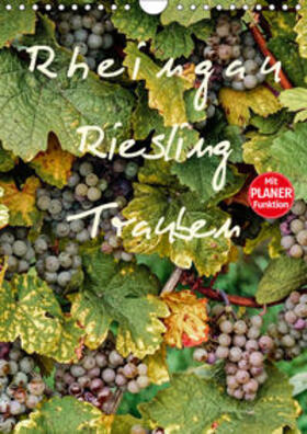 Meyer |  Rheingau - Riesling Trauben (Wandkalender 2019 DIN A4 hoch) | Sonstiges |  Sack Fachmedien