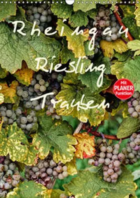 Meyer |  Rheingau - Riesling Trauben (Wandkalender 2019 DIN A3 hoch) | Sonstiges |  Sack Fachmedien