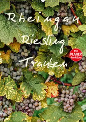 Meyer |  Rheingau - Riesling Trauben (Wandkalender 2019 DIN A2 hoch) | Sonstiges |  Sack Fachmedien