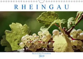 Meyer |  Rheingau - Riesling Trauben (Wandkalender 2019 DIN A4 quer) | Sonstiges |  Sack Fachmedien