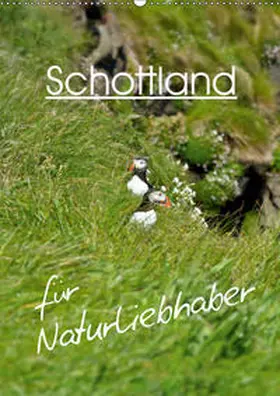 Schäfer | Schottland für Naturliebhaber (Wandkalender 2019 DIN A2 hoch) | Sonstiges | 978-3-669-89687-0 | sack.de