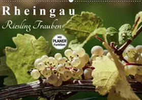 Meyer |  Rheingau - Riesling Trauben (Wandkalender 2019 DIN A2 quer) | Sonstiges |  Sack Fachmedien