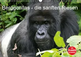 Herzog |  Berggorillas - die sanften Riesen (Wandkalender 2019 DIN A3 quer) | Sonstiges |  Sack Fachmedien