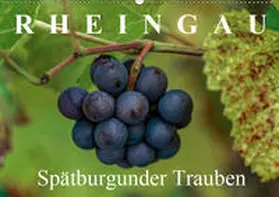 Meyer |  Rheingau - Spätburgunder Trauben (Wandkalender 2019 DIN A2 quer) | Sonstiges |  Sack Fachmedien