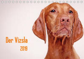 Stark |  Der Vizsla 2019 (Tischkalender 2019 DIN A5 quer) | Sonstiges |  Sack Fachmedien