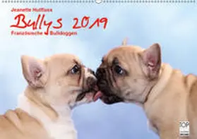 Hutfluss |  Bullys - Französische Bulldoggen 2019 (Wandkalender 2019 DIN A2 quer) | Sonstiges |  Sack Fachmedien