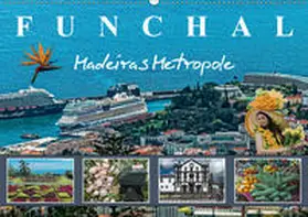 Meyer |  Funchal Madeiras Metropole (Wandkalender 2019 DIN A2 quer) | Sonstiges |  Sack Fachmedien