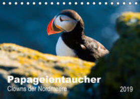 Wagner |  PAPAGEIENTAUCHER - Clowns der Nordmeere (Tischkalender 2019 DIN A5 quer) | Sonstiges |  Sack Fachmedien